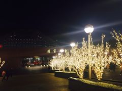 -国家大剧院