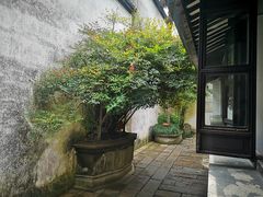 -乌镇景区