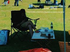 -春花秋色城市公园