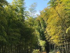 -径山寺