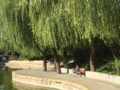 -团结湖公园