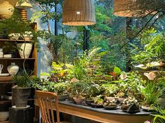 -自由生长植物工作室(深港花卉中心店)