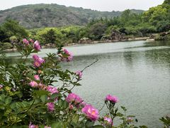 -白马涧龙池景区