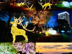 -大宁郁金香公园-停车场