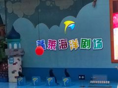 -蓬莱欧乐堡海洋极地世界