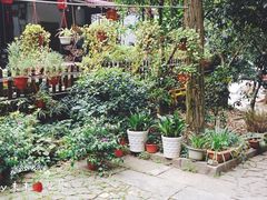 -国生茶庄·地道农家菜团建活动