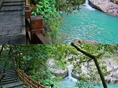 -广州白江湖森林公园