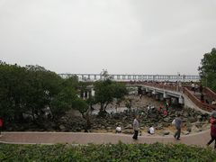 -宝安西湾红树林湿地公园