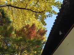 -西园戒幢律寺