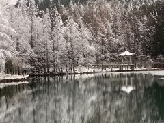 -四明山国家森林公园
