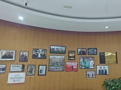 -雅悦齿科(顾村公园店)