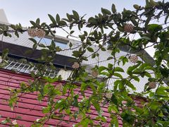 -逸轩商行(安托山六路店)