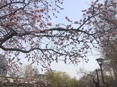 -元大都城垣遗址公园