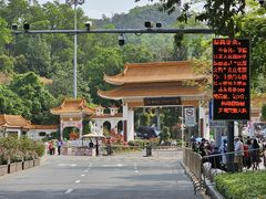 -深圳仙湖植物园