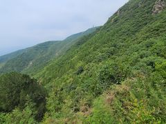 -北京十三陵国家森林公园蟒山景区