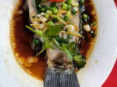 -先鲜鲫鱼粥