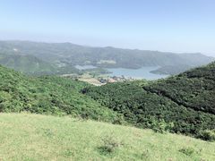 -大姆山草场