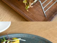 菌菇蔬菜Taco-本处·素食·融合料理(南油店)