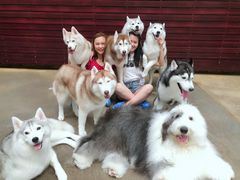 -TrueLove @ Neverland (Husky Cafe)