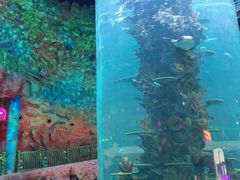 -青岛嘉年华主题乐园