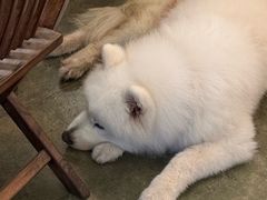 -绿房子方寸咖啡(星海名城店)