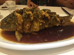 -金春禧(世茂国际广场店)