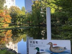 -北海道厅旧本厅舍(旧本庁舎)