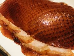 酥不腻烤鸭-小大董·烤鸭(凤凰汇店)