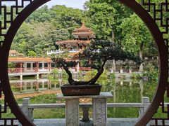 -深圳仙湖植物园
