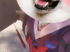 -锦鲤学社·自习室(角门西店)