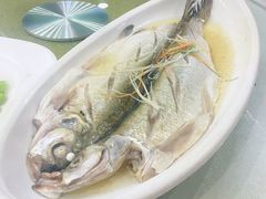 清蒸白水鱼-天福苑(崇宁路店)