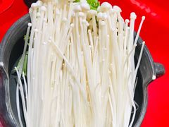 空运金针菇-谭鸭血老火锅(七宝万科广场店)