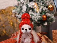 -萌宠之家·腊肠犬·马尔泰·小体犬舍