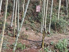 -黄公望隐居地