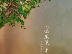 -漆黑觉米粉(三里屯店)