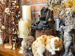 -乡田小墅(展览馆路JK FUN商城店)
