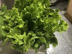 -古乐牛香·鲜牛肉牛杂火锅(新区店)