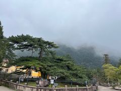 -九华山风景区