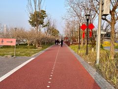 -上海山野camping·户外天幕烧烤·团建拓展营地