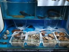 -福匠日本料理(人民路店)