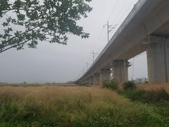 -光明小镇欢乐田园