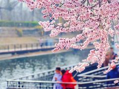 -安定门(地铁站)