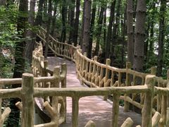 -洛阳白云山景区