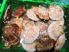 -石浦大酒店(百丈店)