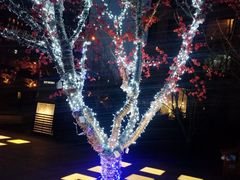 -和美电影艺术中心(万国城店)
