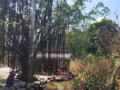 -白水带风景区体育公园