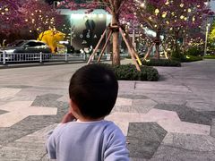 -深圳湾万象城(南山店)