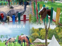 -广东花都香草世界旅游度假区