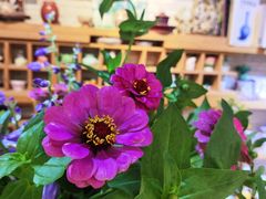 -今日陶艺(富力广场店)