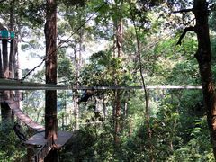 -清迈丛林飞跃 JungleFlight